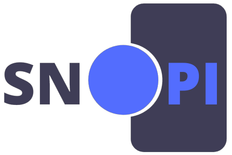 SNOPI - Social Network with Ontology-based adaPtive Interface
